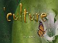 Culture Screenshots for Xbox 360 - Culture Xbox 360 Video Game Screenshots - Culture Xbox360 Game Screenshots