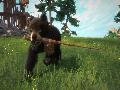 Kinectimals: Now With Bears screenshot #20946