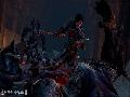 Dragon Age II Screenshots for Xbox 360 - Dragon Age II Xbox 360 Video Game Screenshots - Dragon Age II Xbox360 Game Screenshots