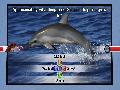 NatGeo Quiz! Wild Life Screenshots for Xbox 360 - NatGeo Quiz! Wild Life Xbox 360 Video Game Screenshots - NatGeo Quiz! Wild Life Xbox360 Game Screenshots