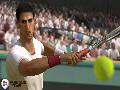 Grand Slam Tennis 2 screenshot