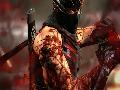 Ninja Gaiden 3 screenshot