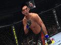 UFC 2010 Undisputed screenshot