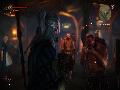 The Witcher 2 screenshot