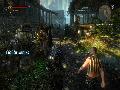 The Witcher 2 screenshot