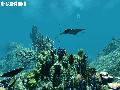 Spearfishing Screenshots for Xbox 360 - Spearfishing Xbox 360 Video Game Screenshots - Spearfishing Xbox360 Game Screenshots